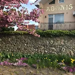 Adonis Casa de hóspedes