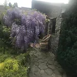 Adonis Konukevi Ujgorod