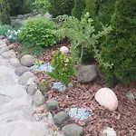 Adonis Konukevi Ujgorod