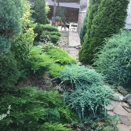 Adonis Гостевой дом 4*