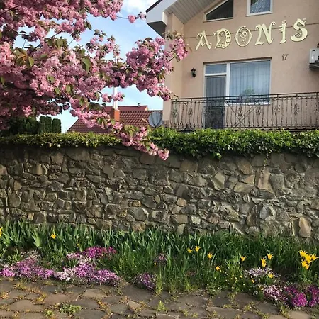 Adonis Guest house