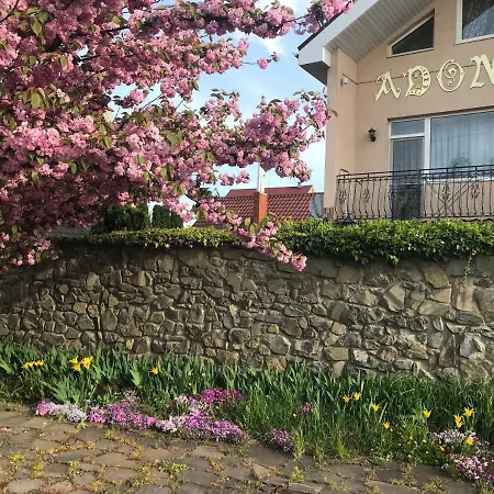 Adonis Guest house Uzhhorod