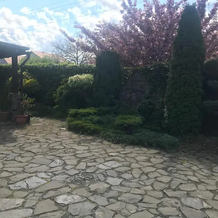 Adonis 4* Uzhhorod