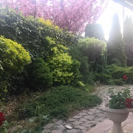 Adonis Ужгород