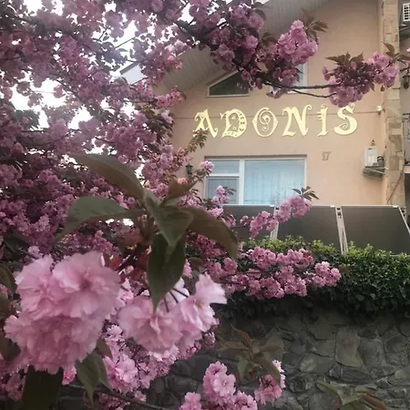 Adonis