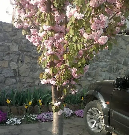 Гостевой дом Adonis Ужгород