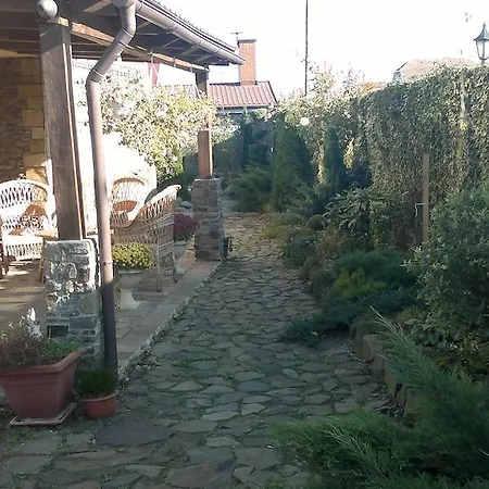 Adonis Użhorod