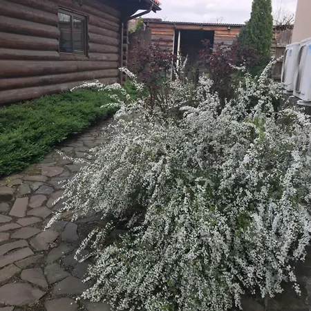 Adonis Gæstehus Uzjhorod