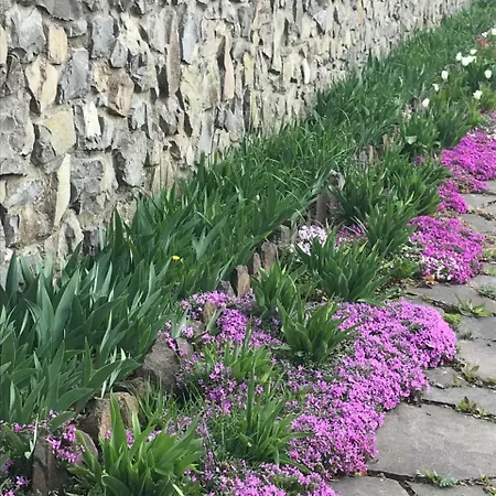 Guest house Adonis 4*