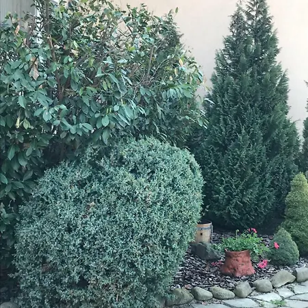 Adonis Гостевой дом