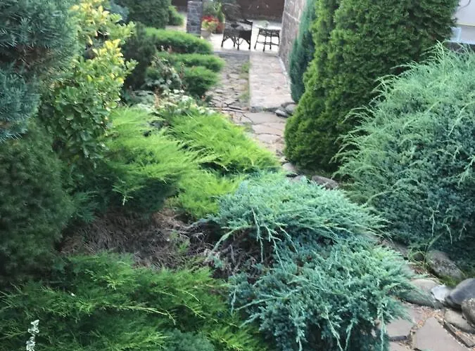 Adonis Gasthuis 4*