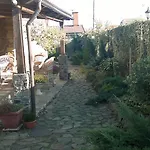 Adonis Ужгород