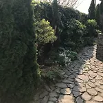 Adonis Ужгород