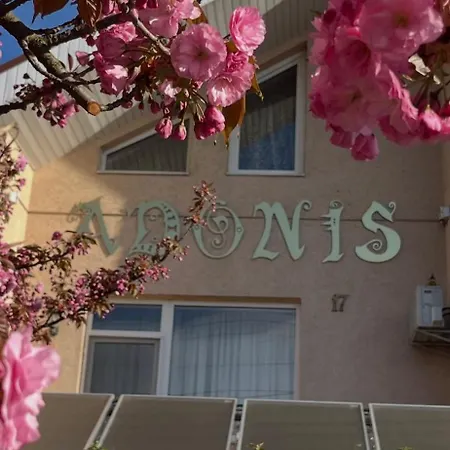 Adonis בית הארחה