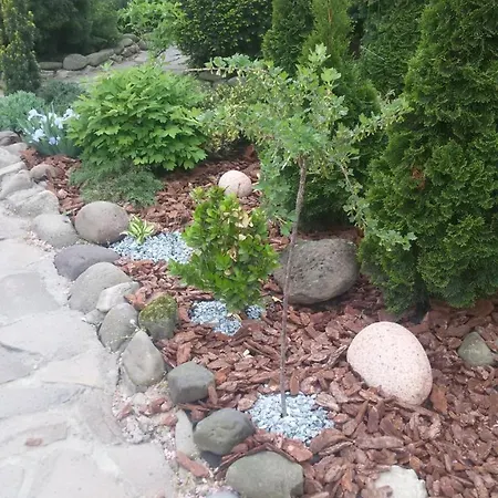 Adonis Gasthuis Oezjhorod